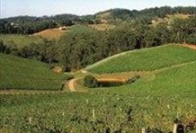 Grand Barossa with The Cedars